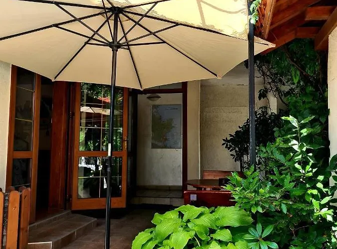 цар калоян *